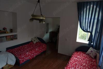 Casă cu 5 camere cu Teren 4200 Mp în Băile Herculane - 3