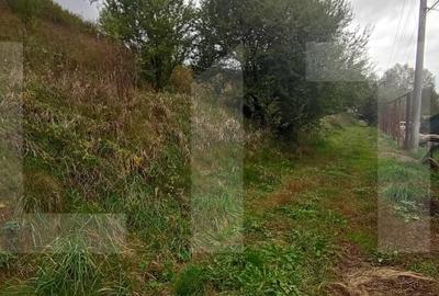 Teren de 920 mp construibil in zona Ciurila Teren de 920 mp construibil in zona Ciurila - 5