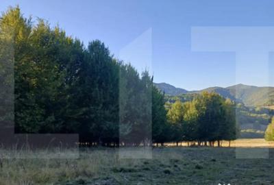 Teren de 11600 mp, în Central - 3