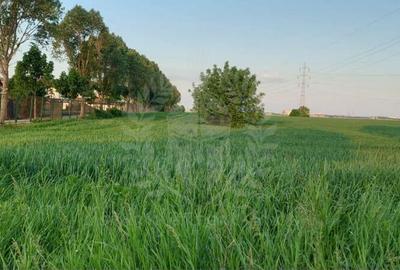 Teren de 9300 mp, în Roua - 1