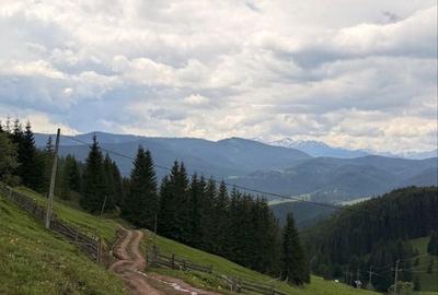 Spațiu comercial, în Cârlibaba - 3