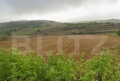 Teren 6800 mp in zona metropolitana Simnicul de Sus - 1