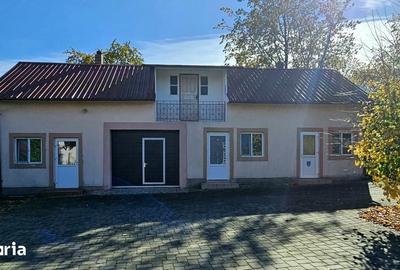 Casă cu 10 camere cu Teren 10000 Mp în Vorona - 10