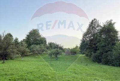 Teren de 4193 mp, în Breb - 4