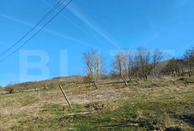 Teren în Central - 2