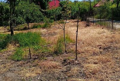 Casă cu Teren 1100 Mp în Ștorobăneasa - 5
