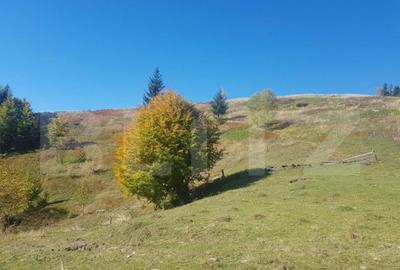 Super Oferta 5.2 euro/mp. Teren de vanzare in zona Arieseni - 3