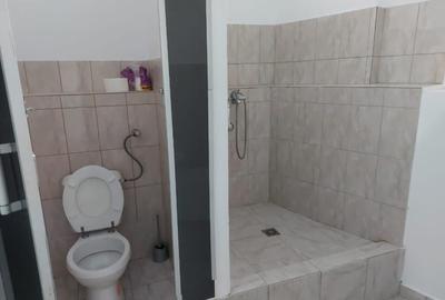 V./inchiriez spatiu 200mp Stefan cel Mare - 6