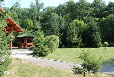 Spațiu comercial, de 700 mp, în Tăuții-Măgherăuș - 1