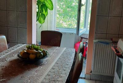 Apartament cu 2 camere decomandat în Gojdu - 9