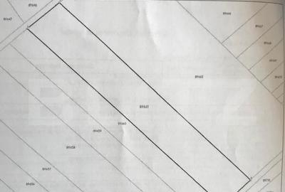Teren extravilan 5.000 mp zona Combinat - 2