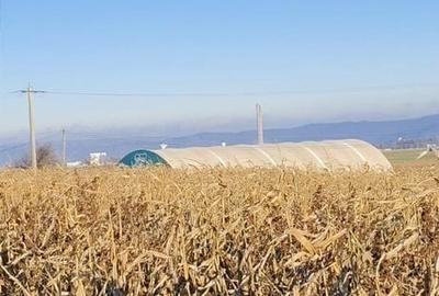 Teren de 1630 mp, în Luizi-Călugăra - 5