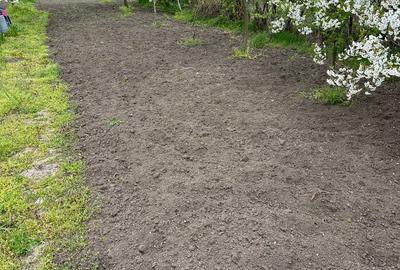 Apartament cu 2 camere decomandat în Cunța - 5