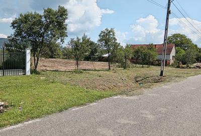 Spațiu comercial, în Căprioara - 3