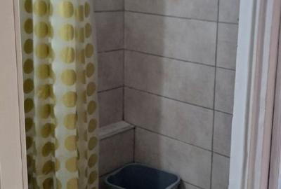 Garsonieră nedecomandată în Alexandru cel Bun