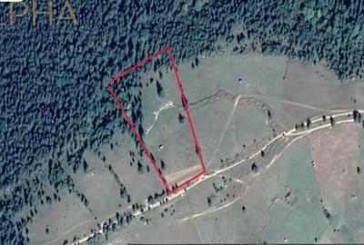 Teren de 27020 mp, în Piatra - 2
