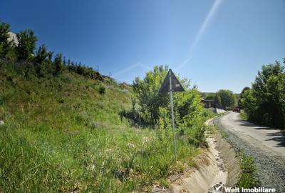 Teren Construcții intravilan de 780 mp, în Baciu - 5