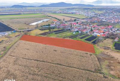 Spațiu comercial, în Bod - 7