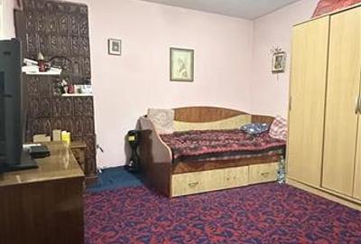 Casa cu Teren de 120 mp, Toate Utilitatile, Zona Viile Noi - 20