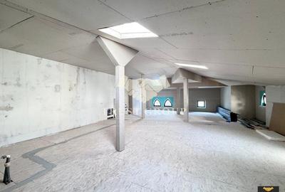 Casa individuala Gradina Icoanei | 2 Locuri Parcare | 253 mp curte libera - 29