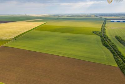 Teren agricol extravilan de 44900 mp, în Aradul Nou - 19