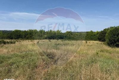 Teren de 2500 mp, în Popoveni