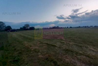 Teren aproape de Bucuresti langa padure între case - 14