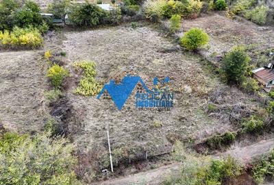 Teren intravilan NICULITEL, zona deosebita, 3044MP - 14