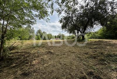 Teren intravilan 8000 mp cu anexa gospodareasca in Vistisoara - 4