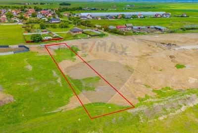 Teren intravilan 1450mp Carpinis / casa locuit