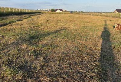Spațiu comercial, în Central