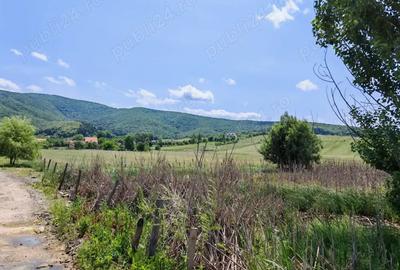 Teren de 7800 mp, în Dobârlău - 2