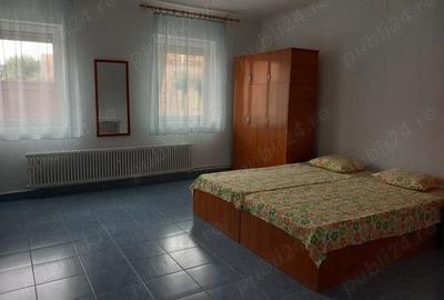 Casa de vanzare Jimbolia - 4