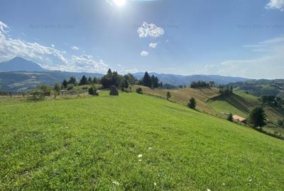 Teren de 3901 mp, în Central - 7