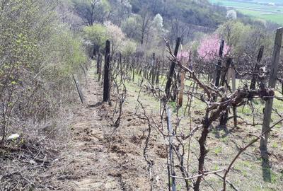 Spațiu comercial, în Cristian - 3