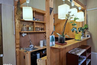 Casă cu 4 camere cu Teren 7017 Mp în Făget - 6