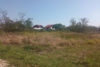 100Omp, Clinceni, Str Rozelor - 9