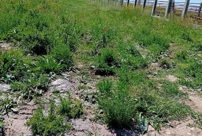 Teren de 1000 mp, în Exterior Vest - 4