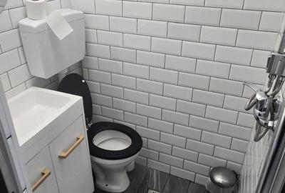 Garsonieră nedecomandată în Buziașului - 2