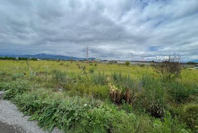 Teren 3436mp Sanpetru! - 2