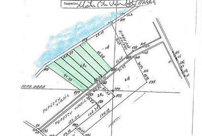 Teren de 1226 mp, în Burila Mare - 2