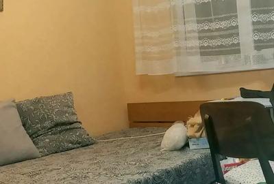 Ap. 3 cam. conf1, semidecomandat, Salajan, - 2