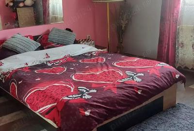 Casă în Topolovățu Mare - 3