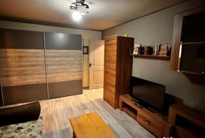 Apartament cu 2 camere semidecomandat, mobilat în Brazda lui Novac - 13