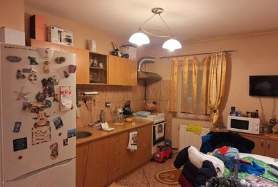 Apartament cu 3 camere decomandat, mobilat în Torontalului - 6