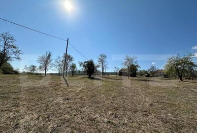 Teren intravilan de vanzare 14000mp,ideal pentru investitie, - 2