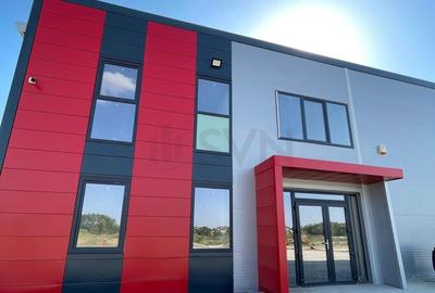 Hale depozitare de in zona de Nord Chitila Hale depozitare de in zona de Nord Chitila - 2