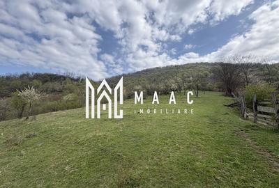 Teren agricol extravilan de 7750 mp, în Câinenii Mici - 3