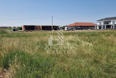 Teren Construcții intravilan de 707 mp, în Săcălaz - 3