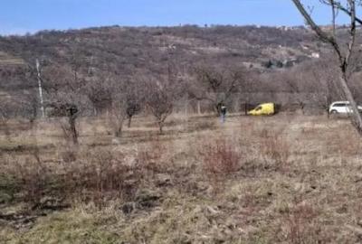 Teren de 860 mp, în Podgoria - 6